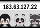 183.63.127.22 IP Address: Meaning, Uses & Details