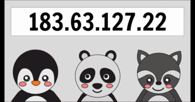 183.63.127.22 IP Address: Meaning, Uses & Details