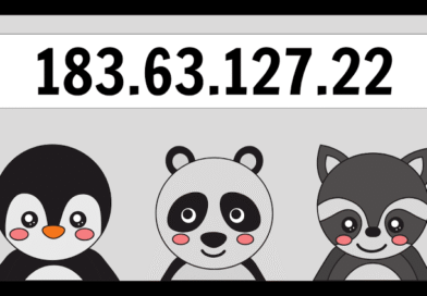183.63.127.22 IP Address: Meaning, Uses & Details