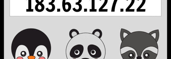 183.63.127.22 IP Address: Meaning, Uses & Details