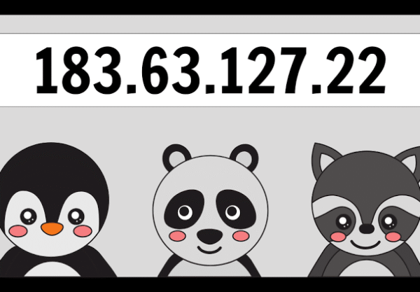183.63.127.22 IP Address: Meaning, Uses & Details