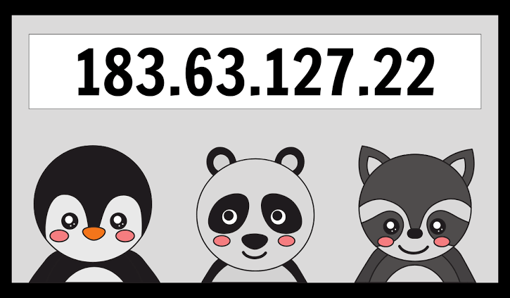 183.63.127.22 IP Address: Meaning, Uses & Details